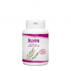 BRUYERE 230MG 100 GÉLULES