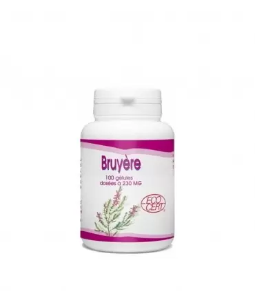 BRUYERE 230MG 100 GÉLULES